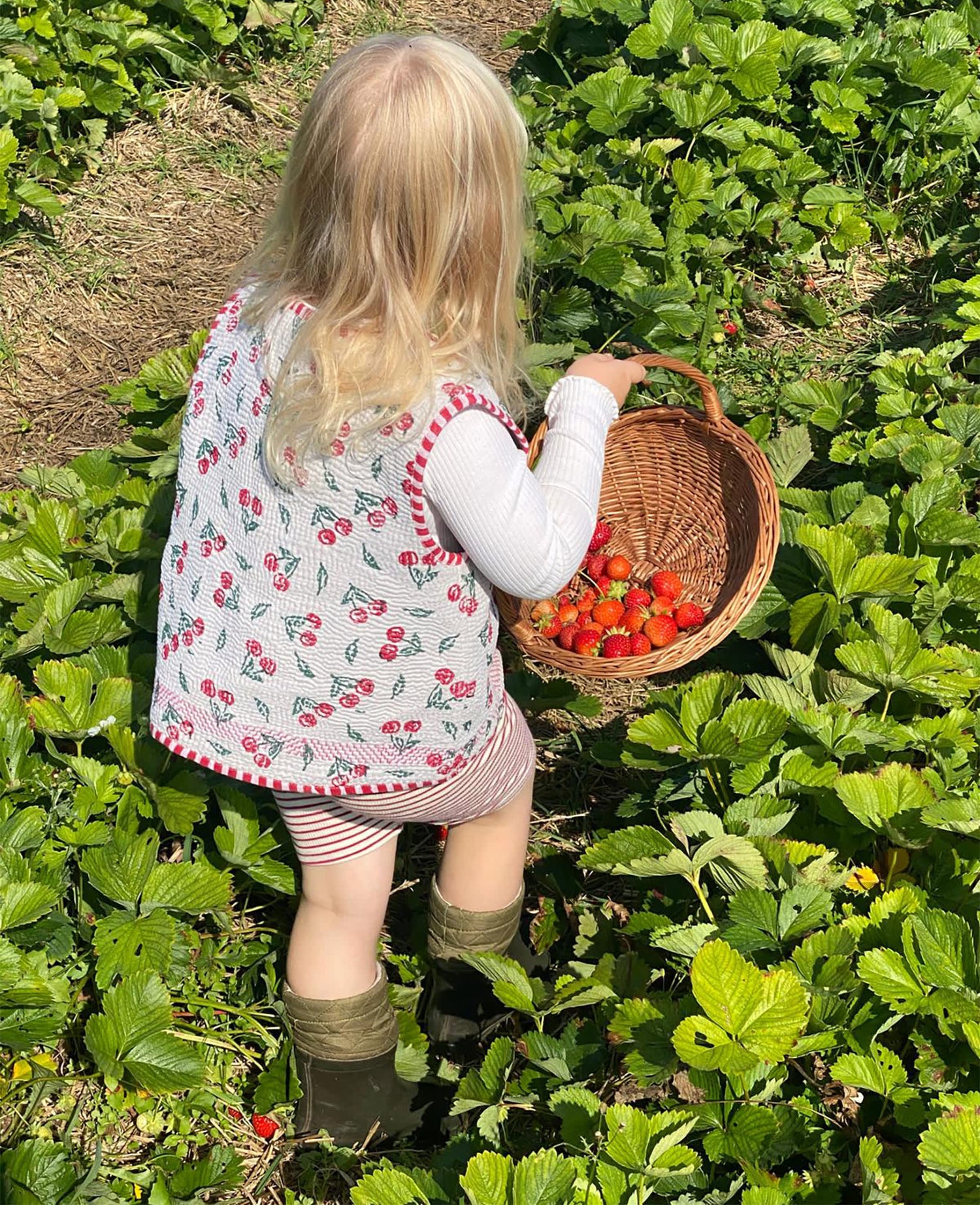 Gro MINI Vest - Cherry