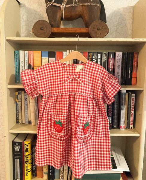 Ohio_MINI_Dress_Red_Checks_3_d