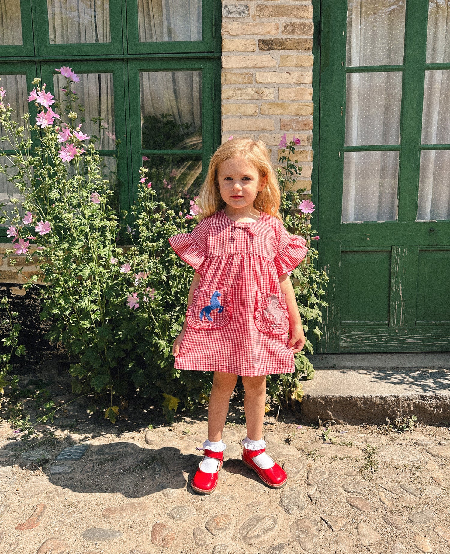 Ohio MINI Dress - Red White Gingham