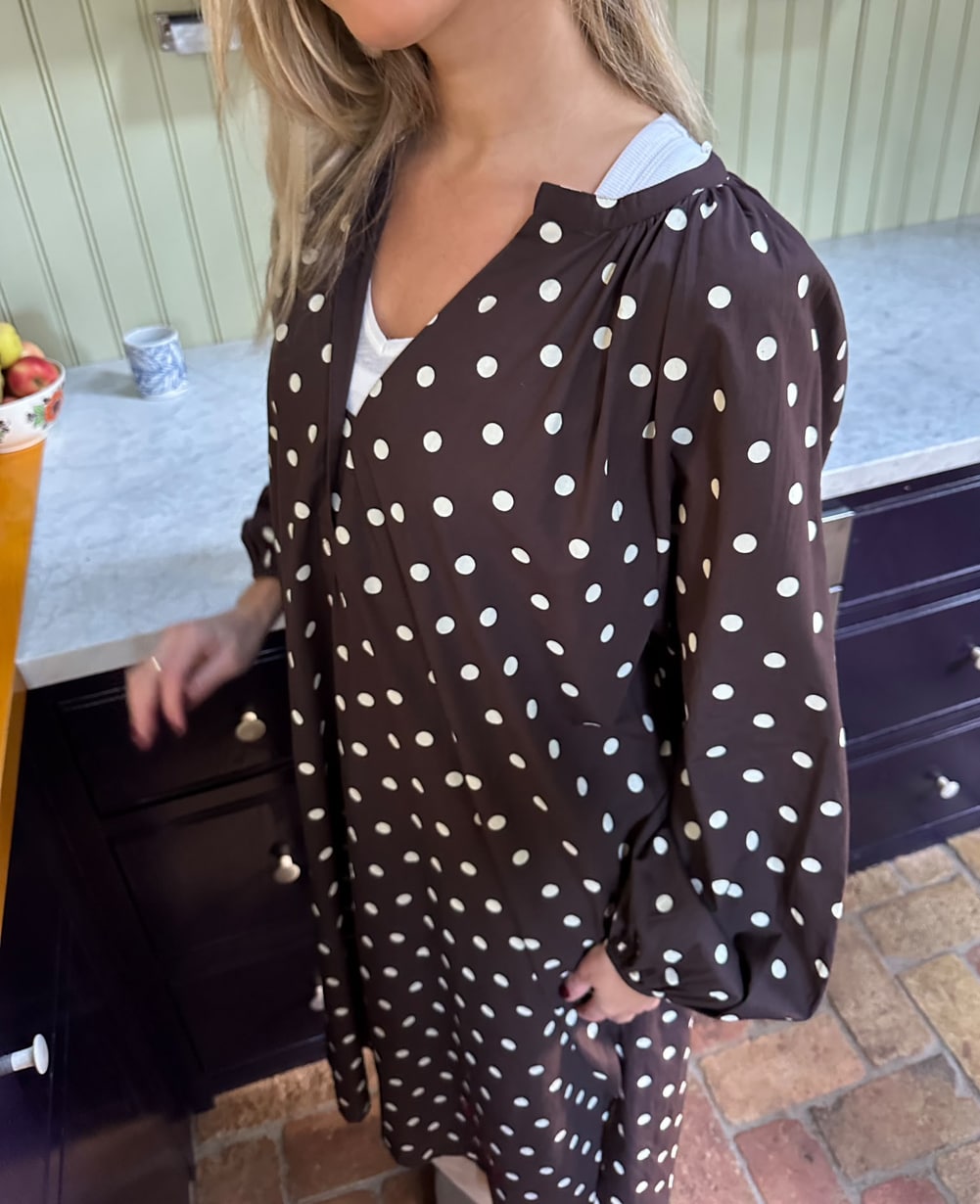 Lara Dress - Brown Dot